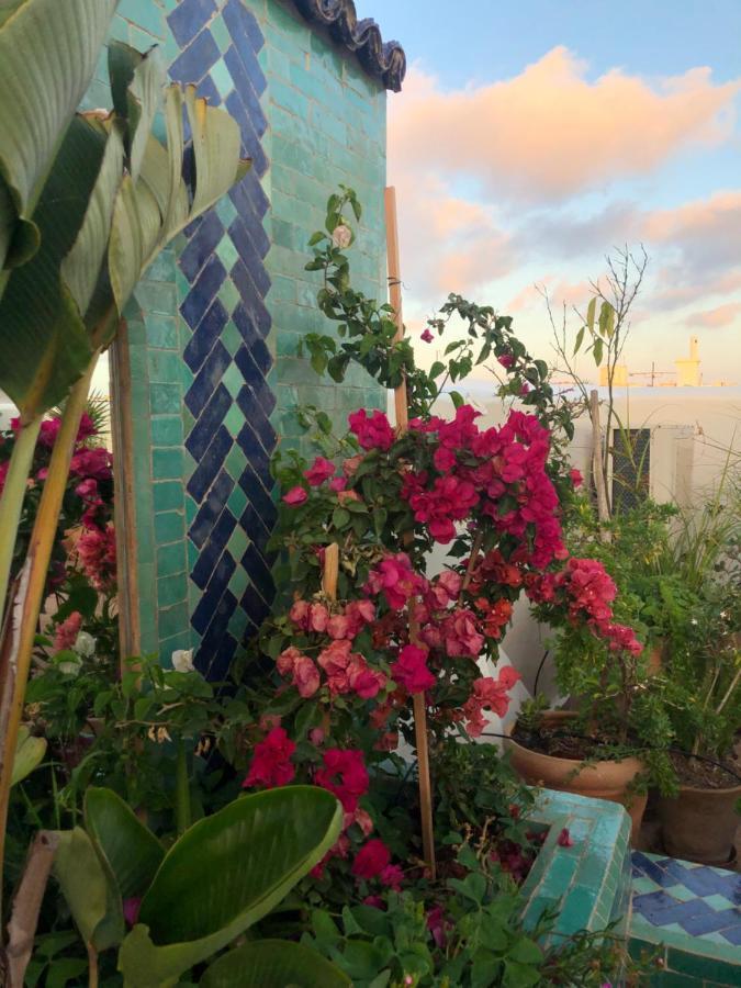 رياد Marhaba 3*
