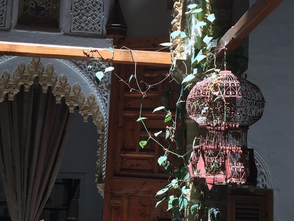 رياد Marhaba